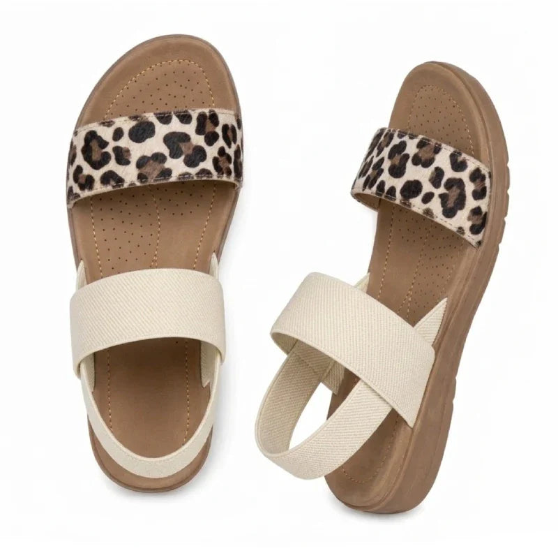 Leopardo